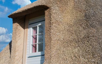 Openwoodgate thatch roof disadvantages