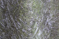 Openwoodgate fibreglass roof work